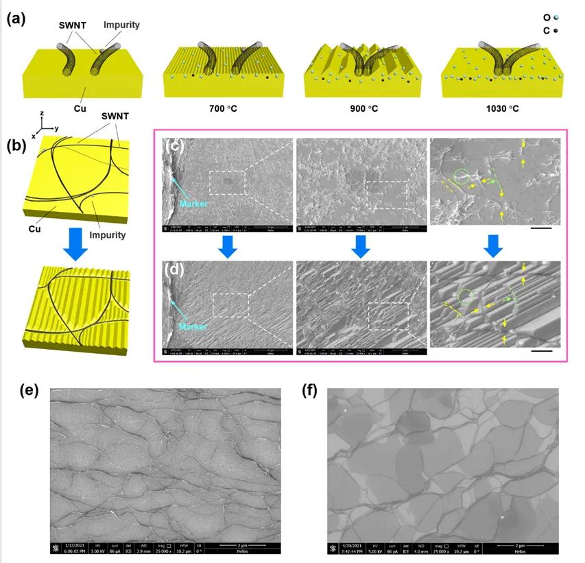 A3面积、米级长度！新型柔性碳纳米薄膜