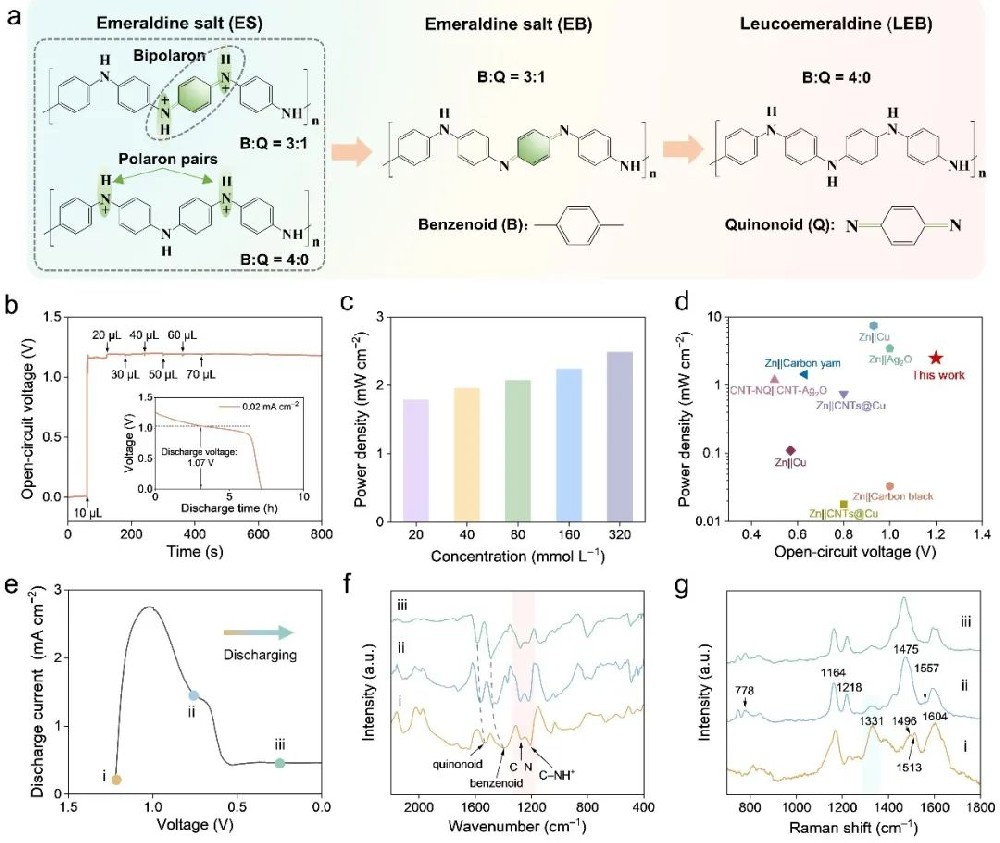 Adv Fiber Mater—湿纺制备聚苯胺/碳纳米管纤维：汗液驱电新突破，传感检测保健康！